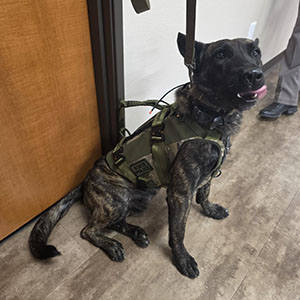 Lito the K9 Texas Ranger