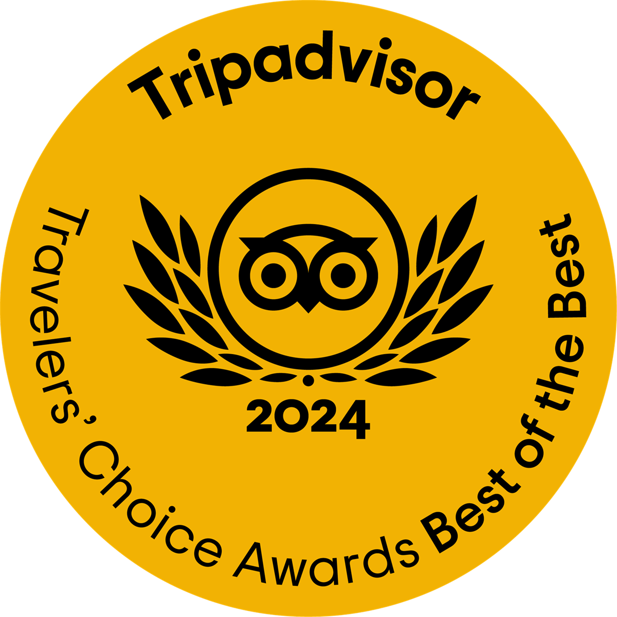 TripAdvisor 2024